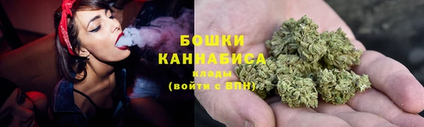 шишки Богданович